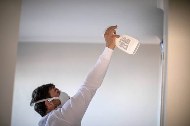 Best Office Mold Removal Services  in New Hope, MN