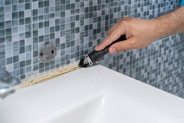 Mold Removal and Inspection in New Hope, MN