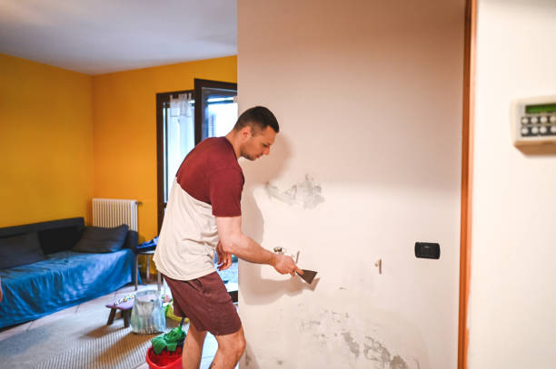 Certified Mold Removal in New Hope, MN